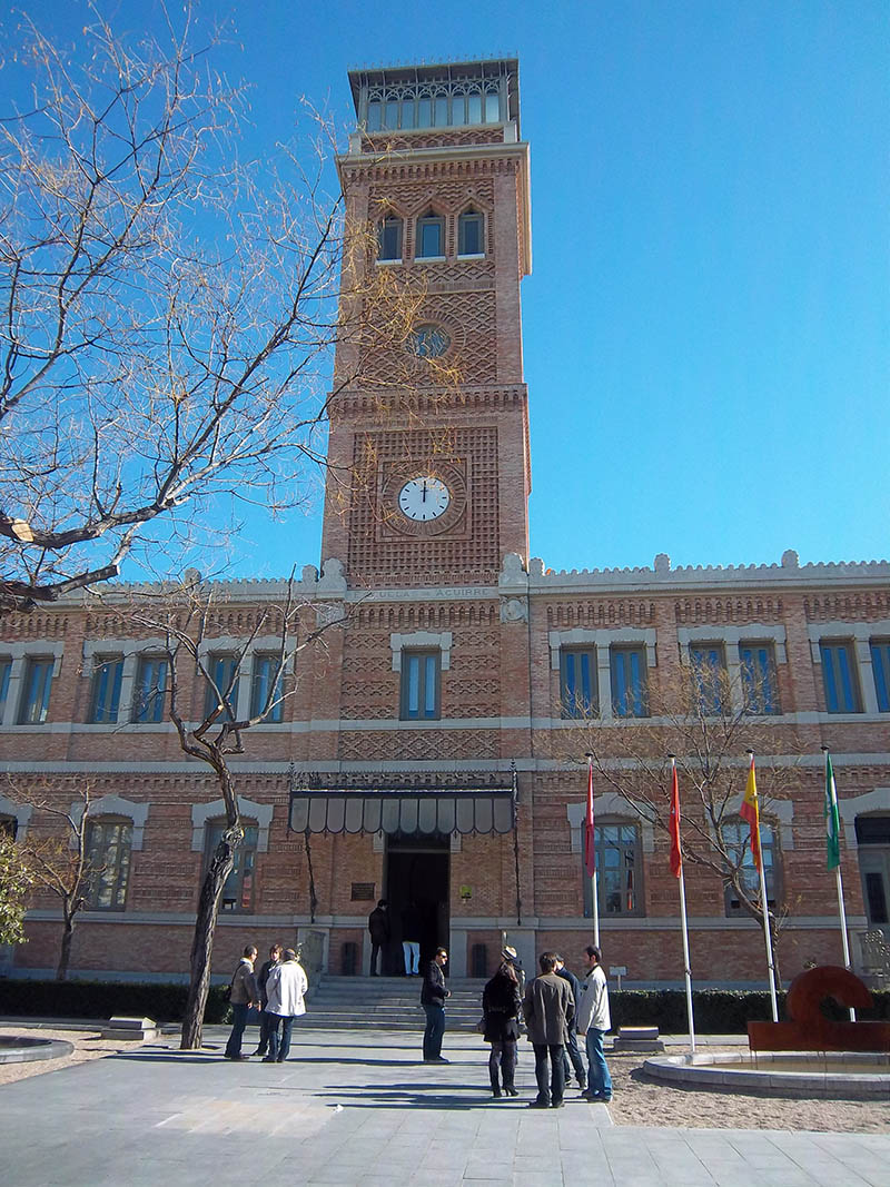 Mushroom 20 - Photo 3