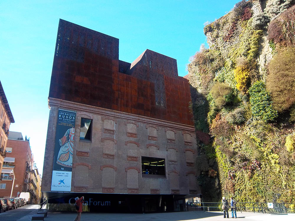 Mushroom 16 - Photo 2