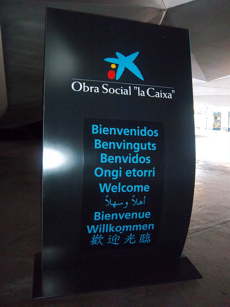 Mushroom 16 - Photo 4