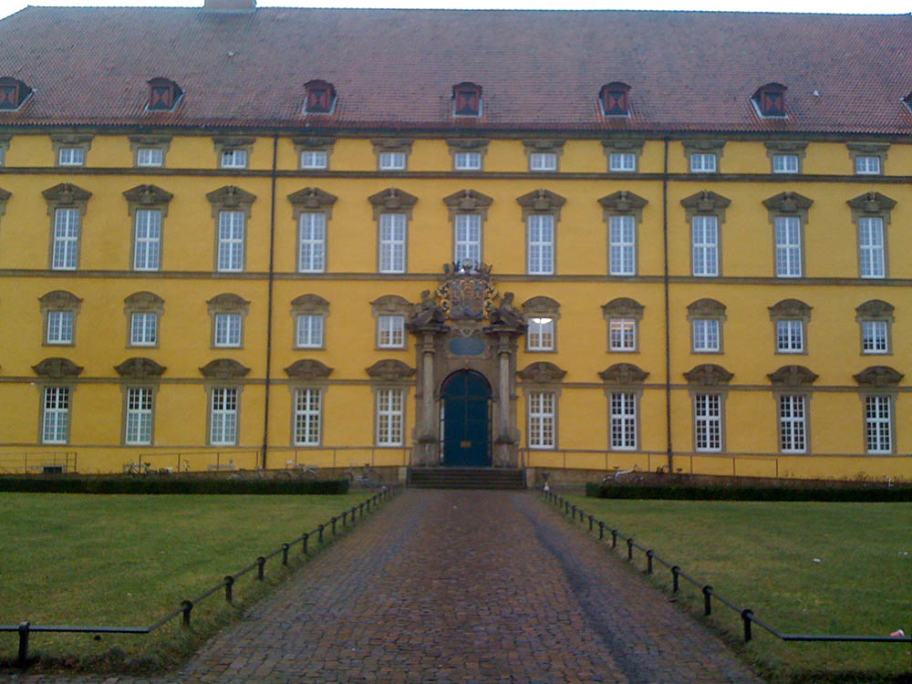 Mushroom 17 - Photo 2