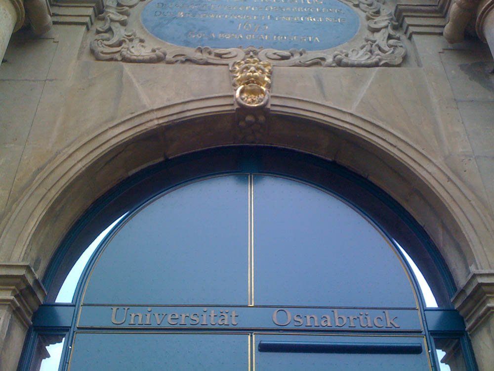 Mushroom 17 - Photo 3