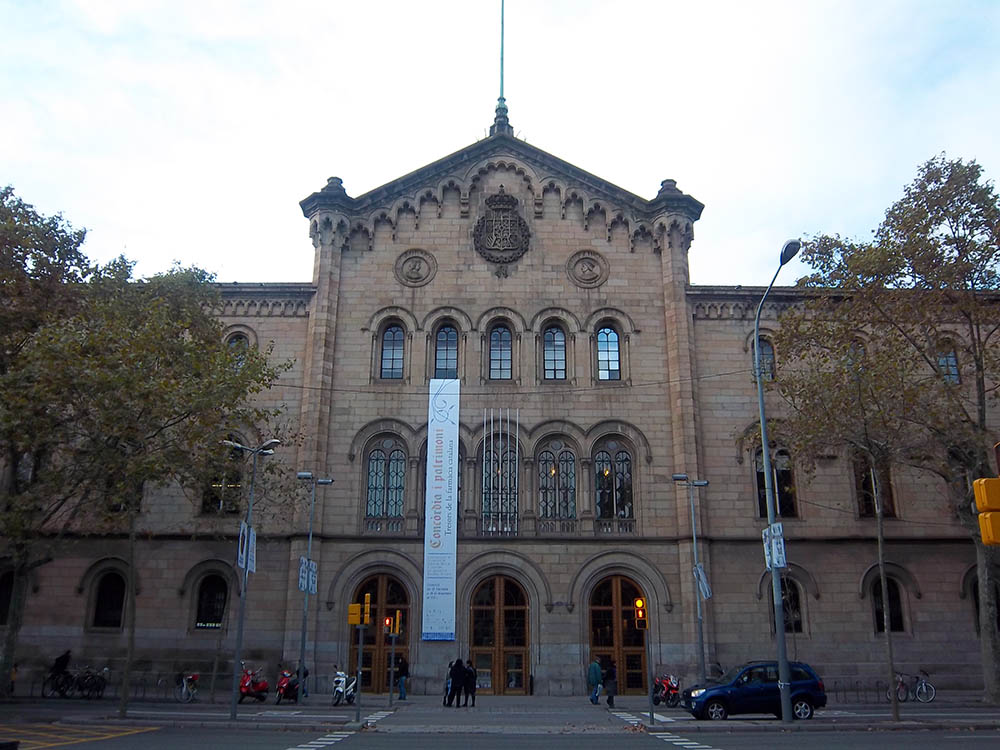 Mushroom 4 - Photo 2