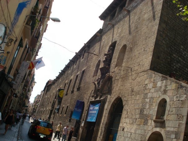 Mushroom 7 - Photo 3