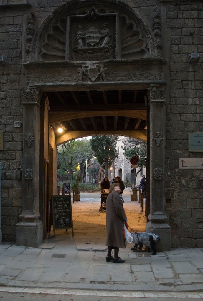 Mushroom 7 - Photo 2