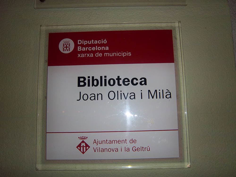 Mushroom 10 - Photo 2