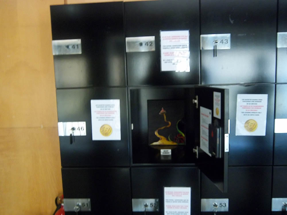 Mushroom 14 - Photo 2