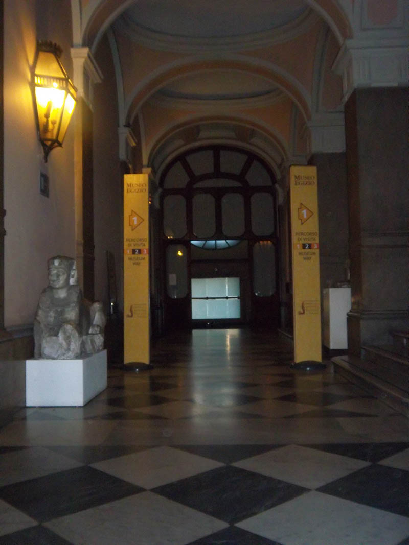 Mushroom 11 - Photo 2