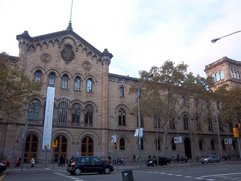 Mushroom 4 - Photo 3