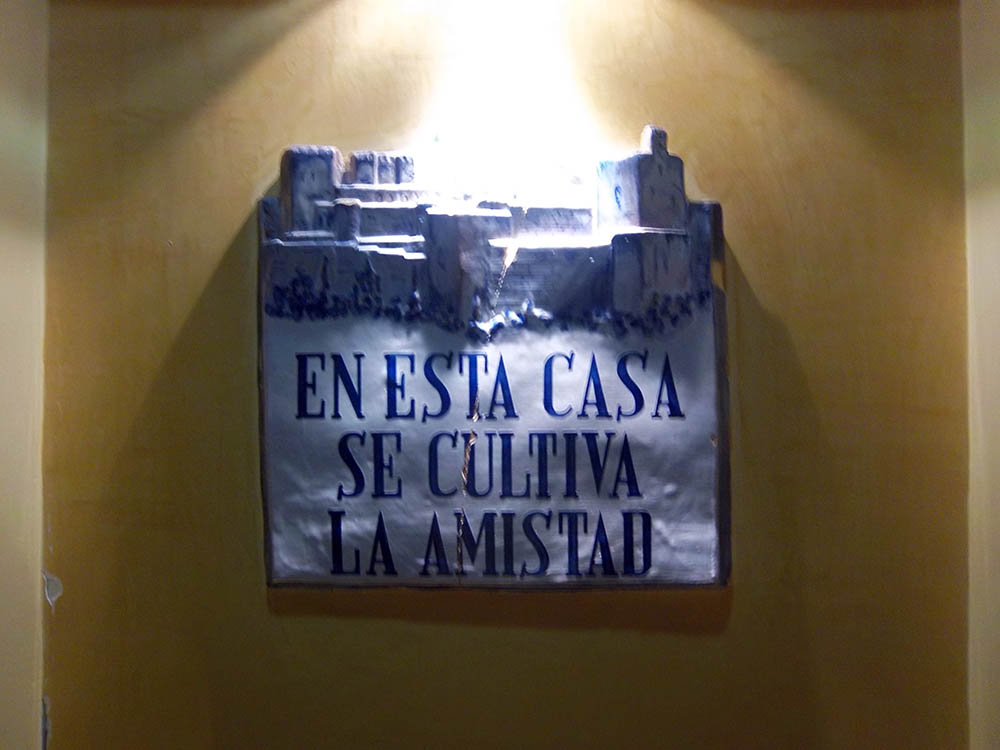 Mushroom 21 - Photo 2