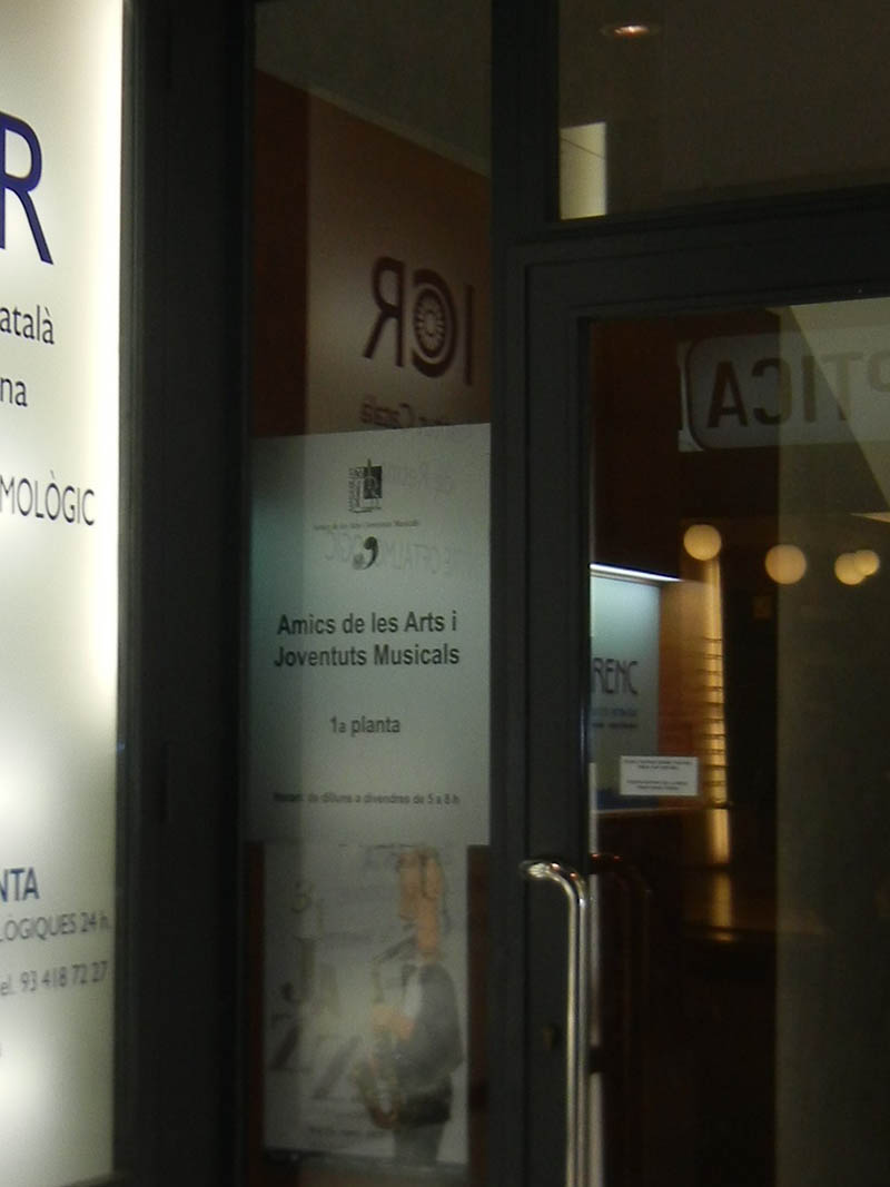 Mushroom 22 - Photo 2