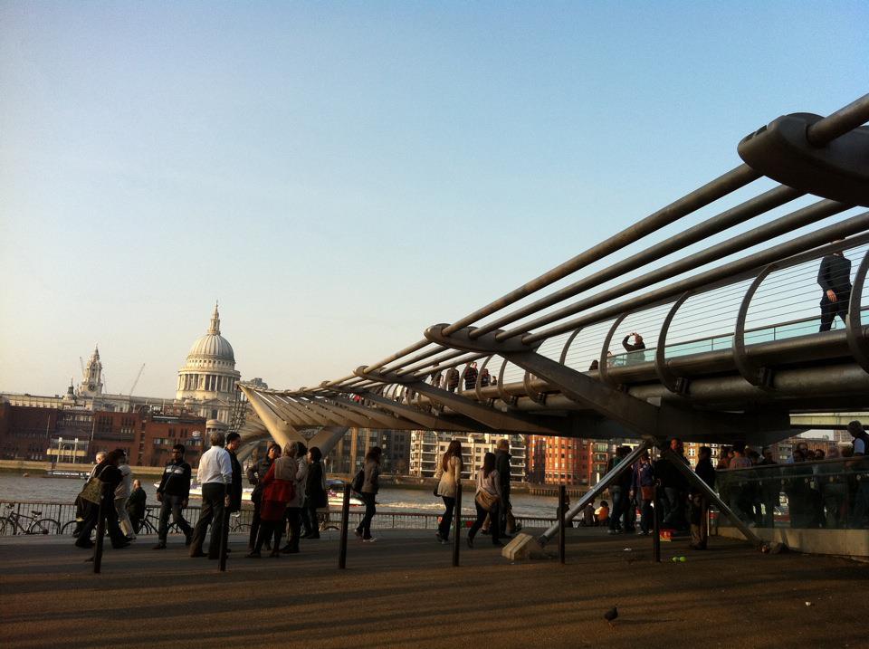 Mushroom 26 - Photo 3