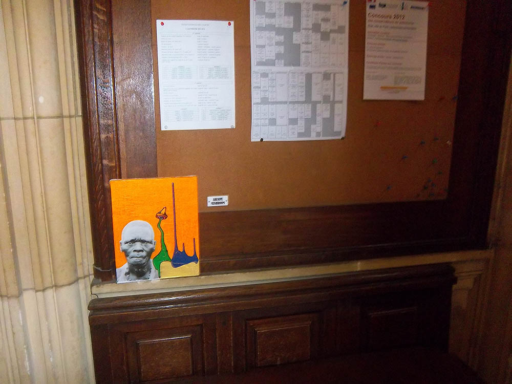 Mushroom 32 - Photo 4