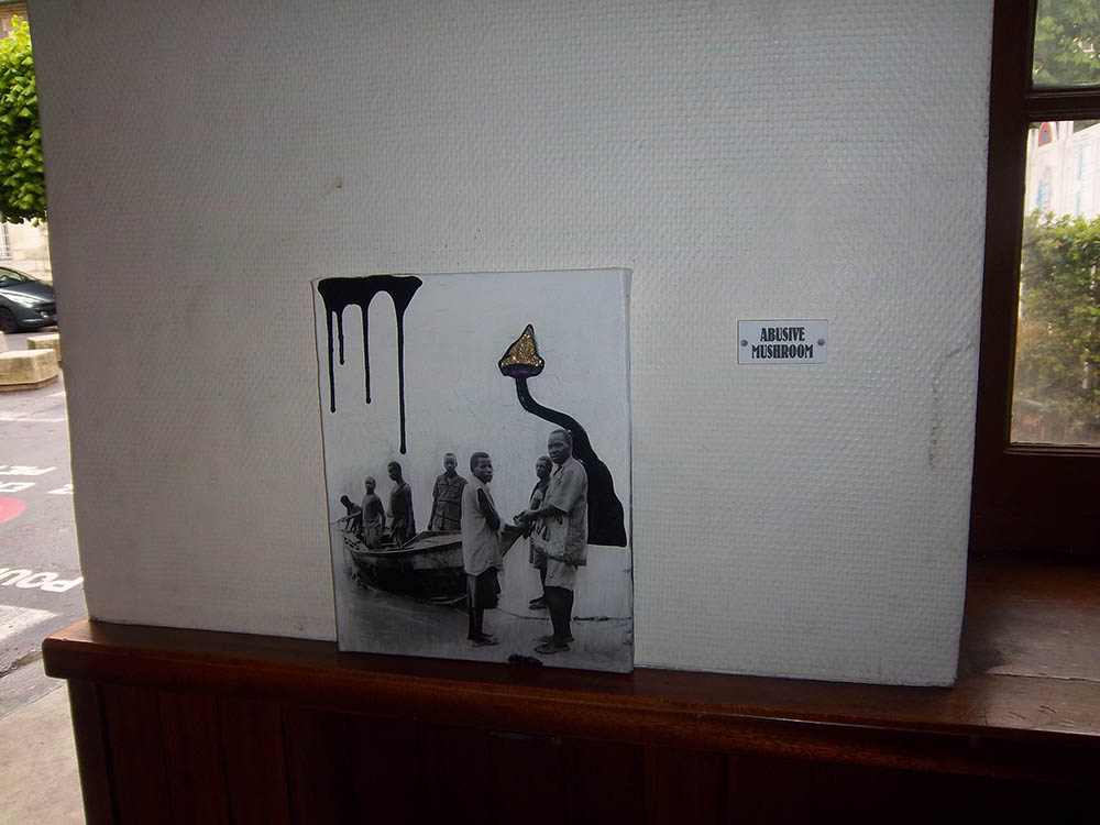 Mushroom 34 - Photo 3