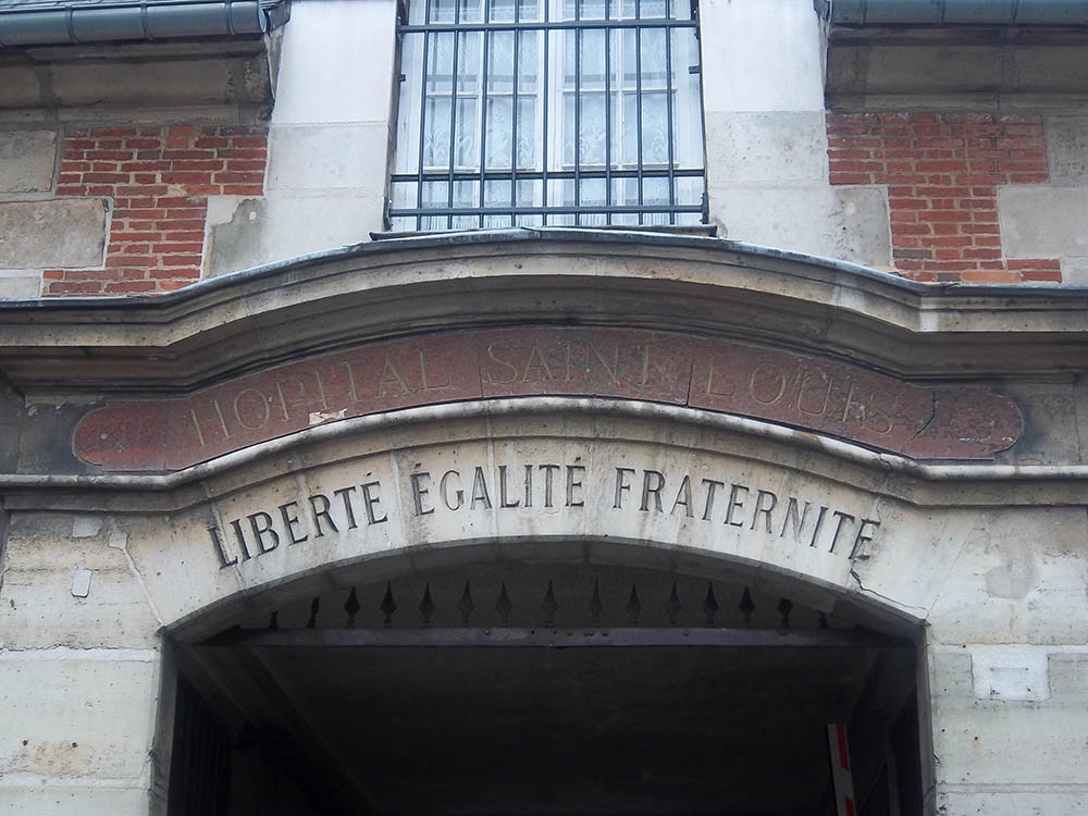 Mushroom 34 - Photo 2