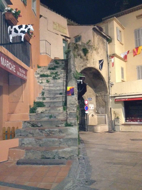 Mushroom 33 - Photo 2