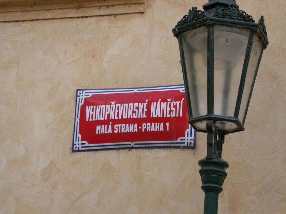 Mushroom 36 - Photo 2