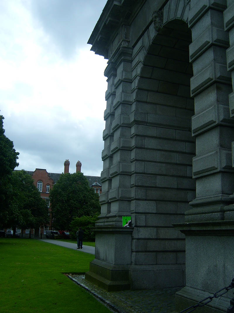 Mushroom 40 - Photo 5