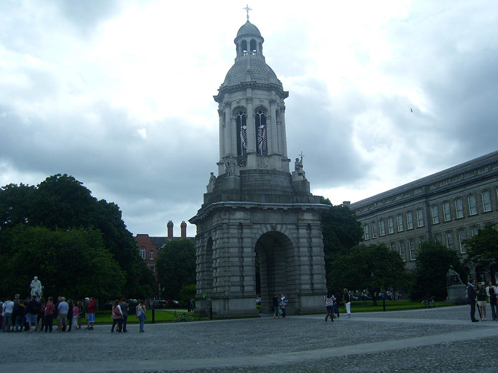 Mushroom 40 - Photo 4