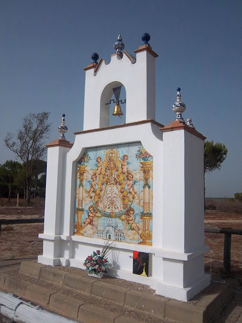 Mushroom 47 - Photo 3