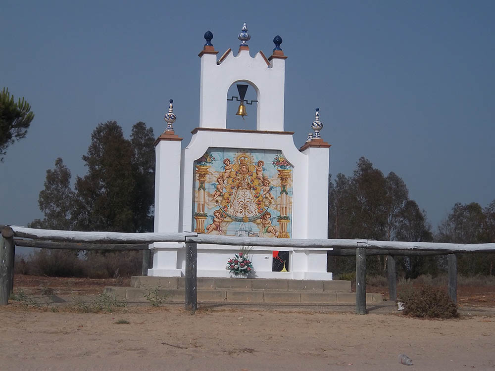 Mushroom 47 - Photo 2