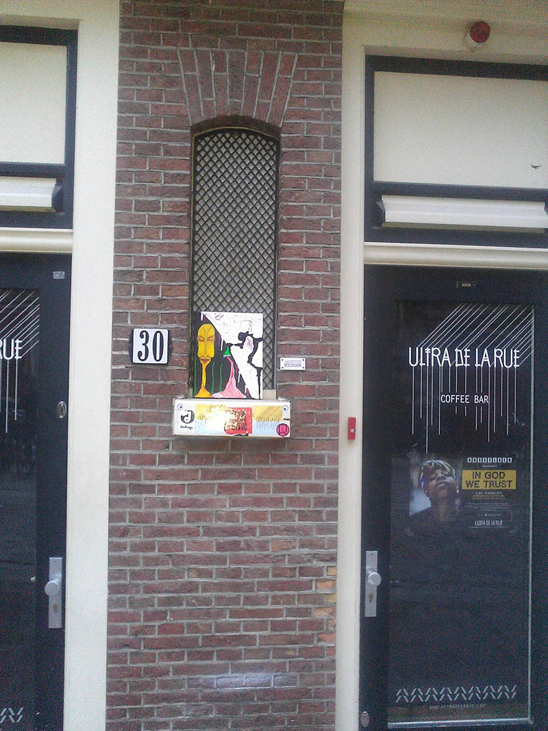 Mushroom 55 - Photo 3