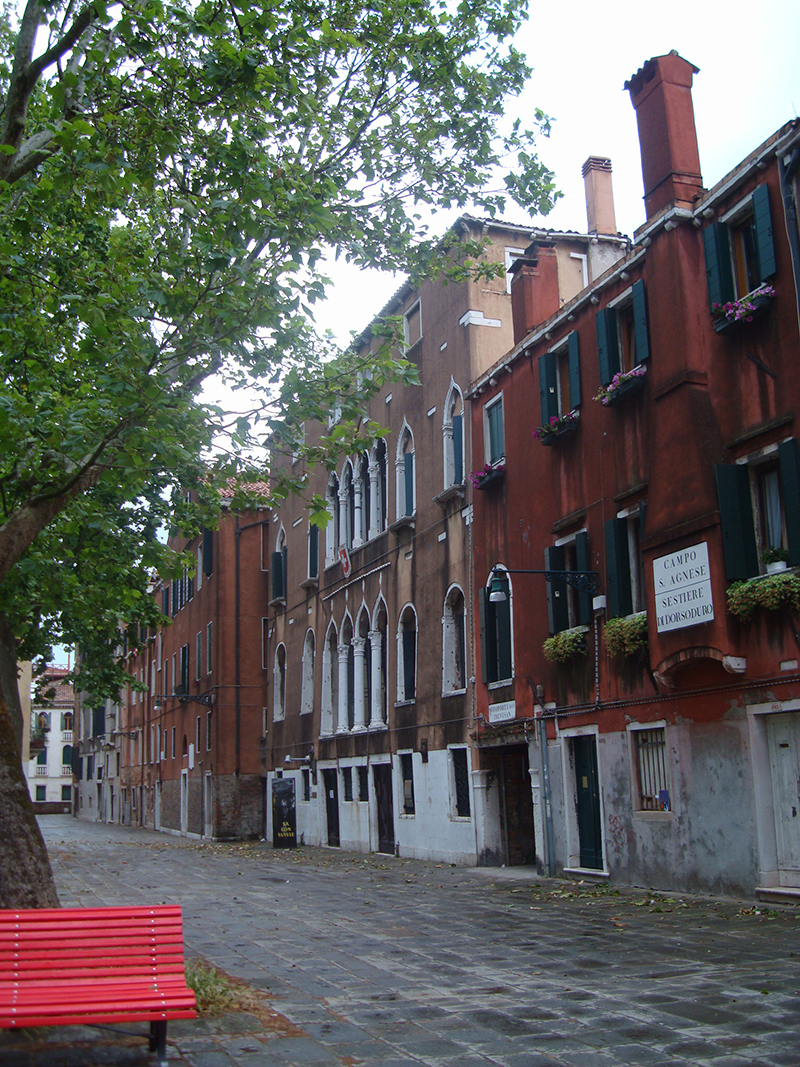 Mushroom 57 - Photo 2