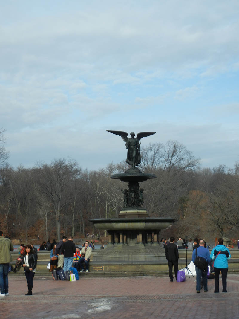 Mushroom 67 - Photo 4