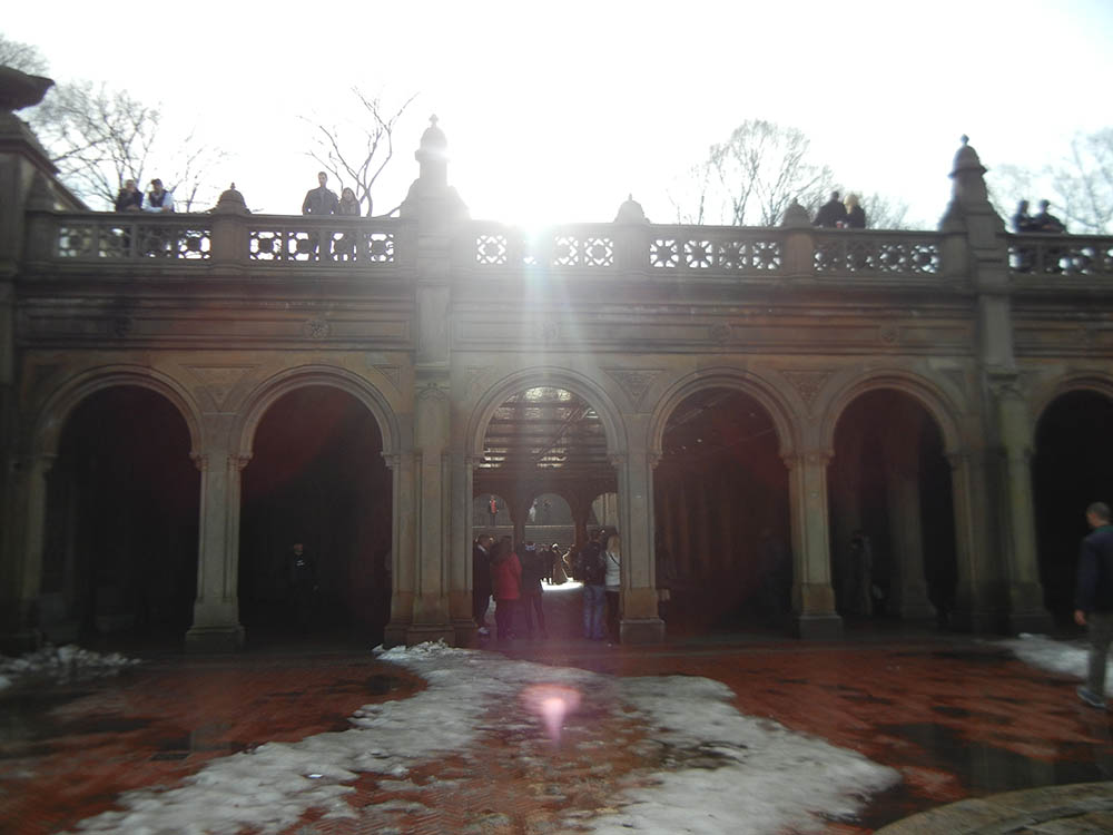 Mushroom 67 - Photo 5