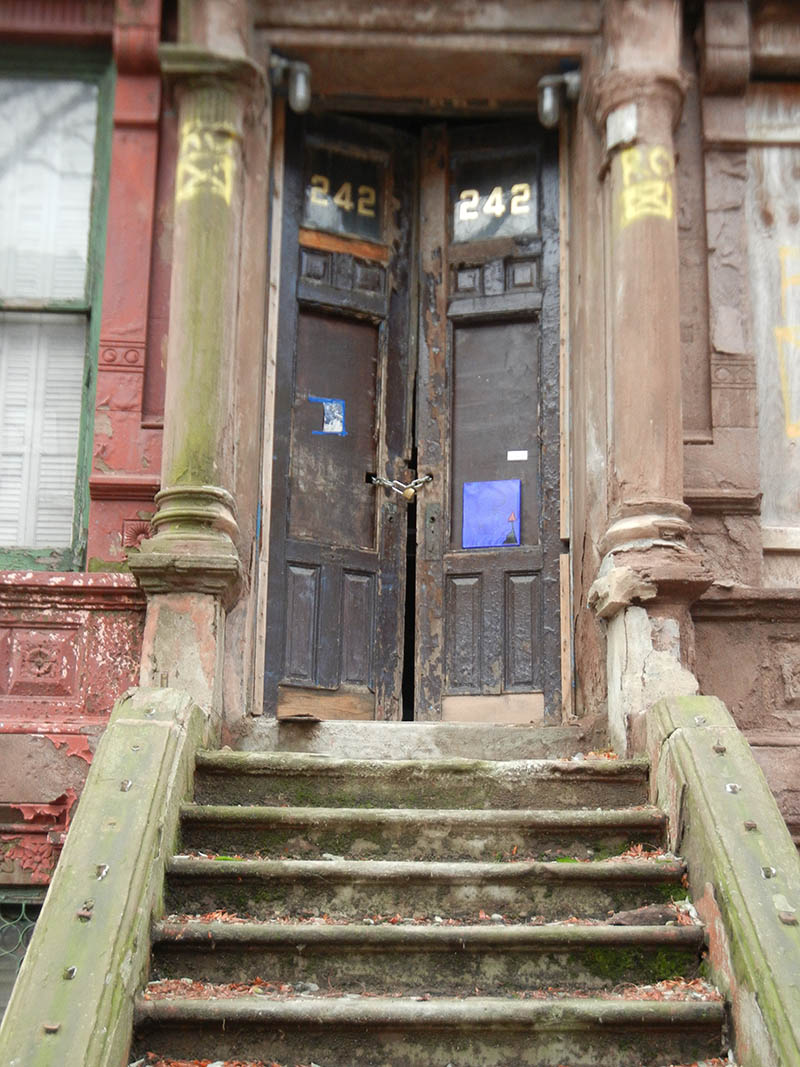 Mushroom 64 - Photo 4