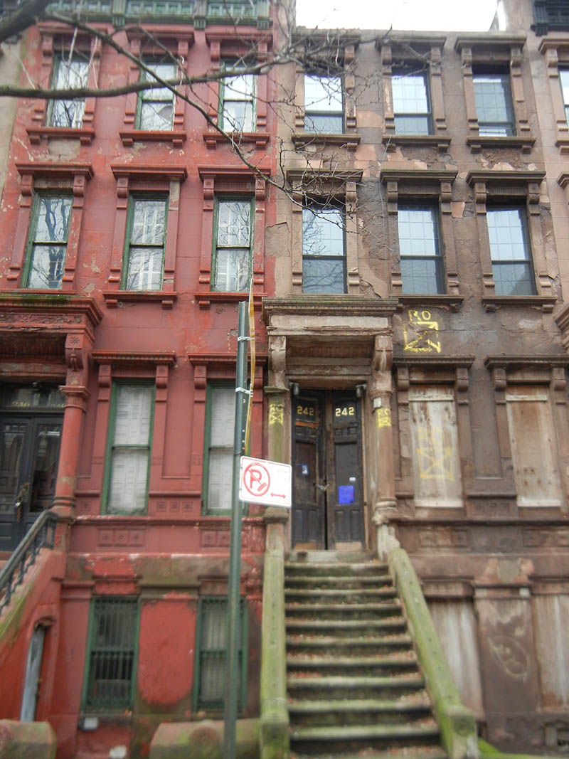 Mushroom 64 - Photo 2