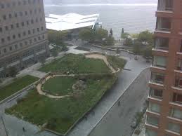 Mushroom 65 - Photo 5