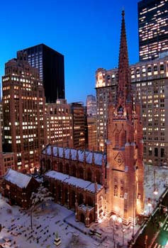 Mushroom 62 - Photo 2