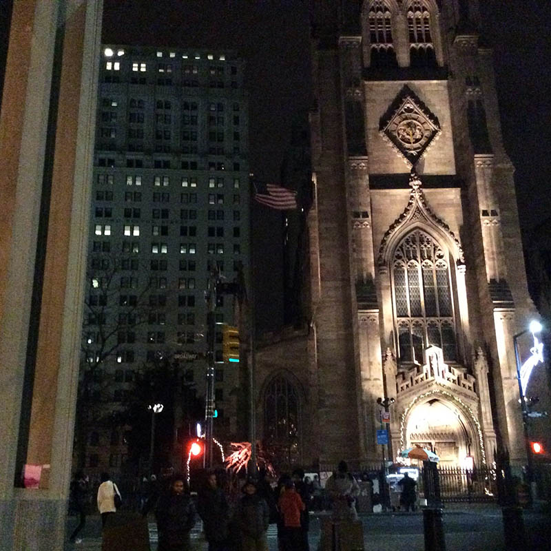 Mushroom 62 - Photo 3