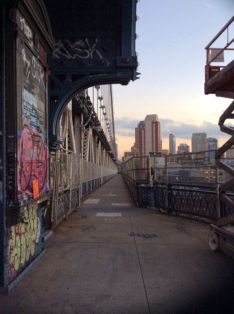 Mushroom 68 - Photo 3