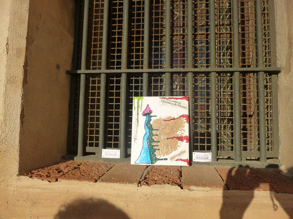 Mushroom 71 - Photo 6