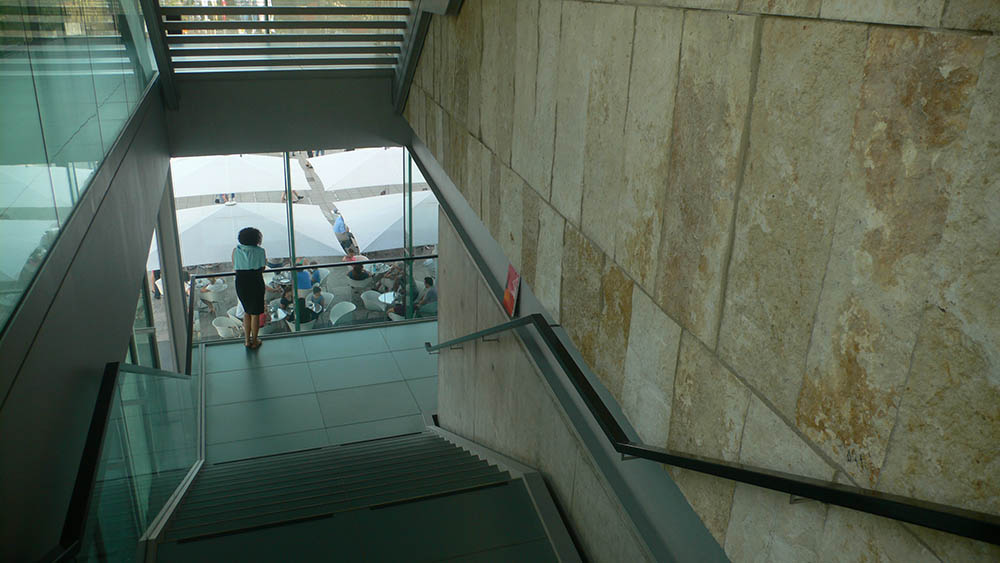 Mushroom 72 - Photo 4