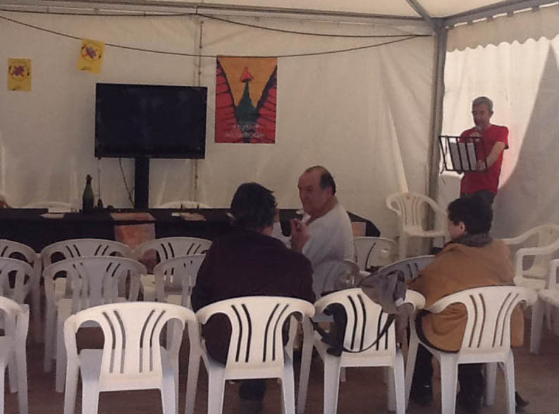 Mushroom 71 - Photo 5