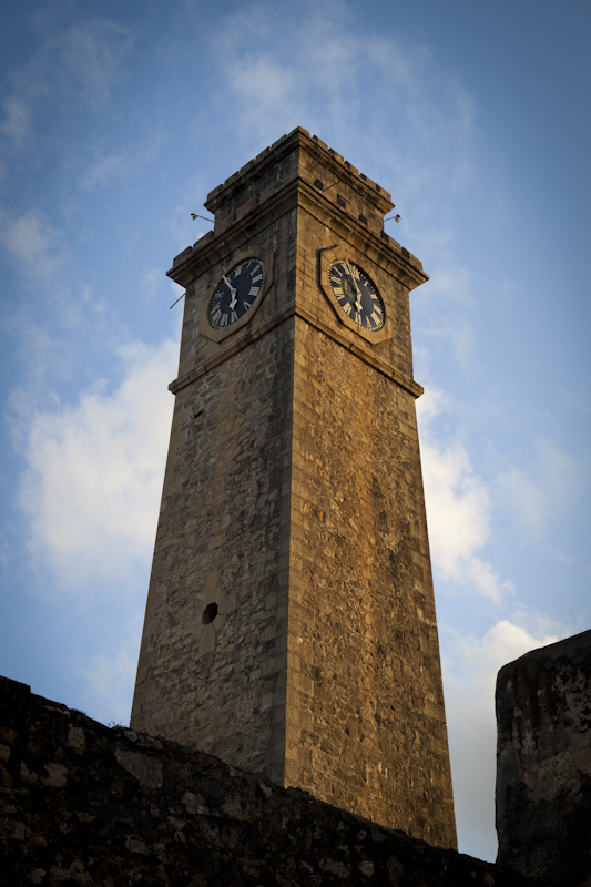 Mushroom 75 - Photo 3