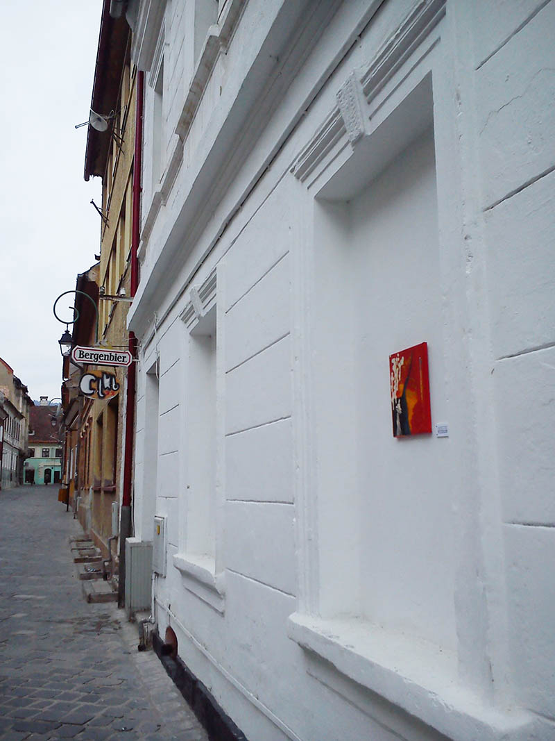 Mushroom 74 - Photo 4