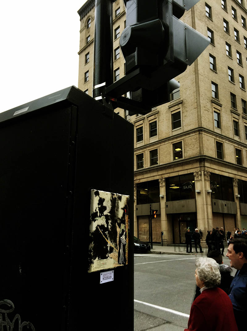 Mushroom 77 - Photo 4