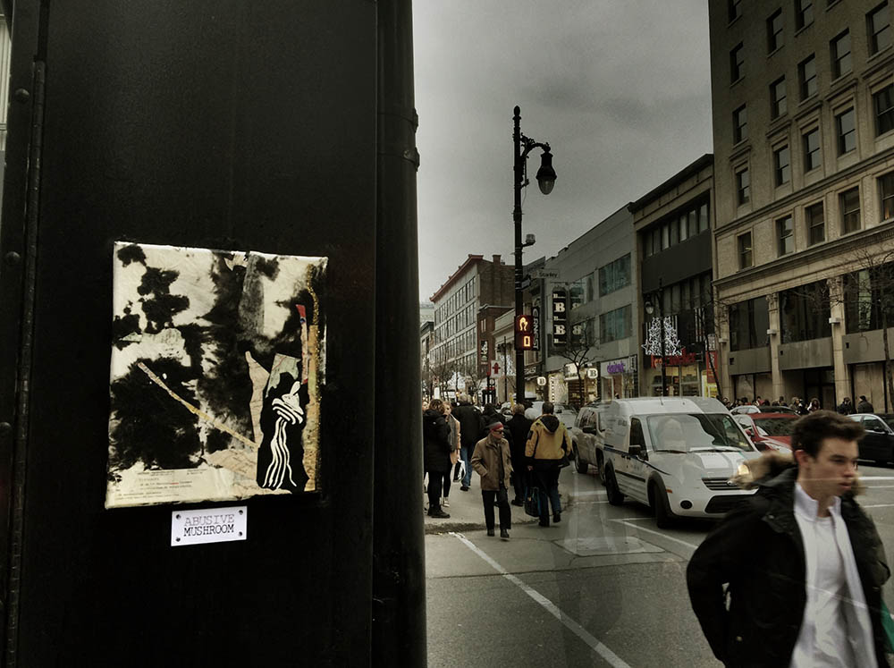 Mushroom 77 - Photo 3