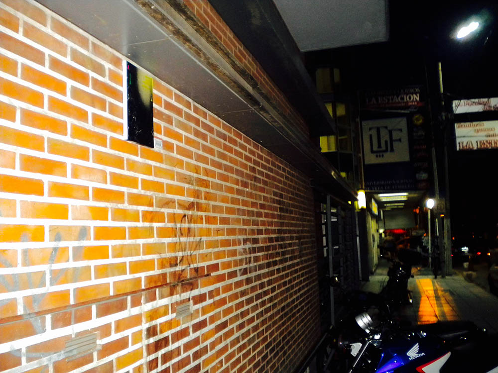 Mushroom 83 - Photo 3