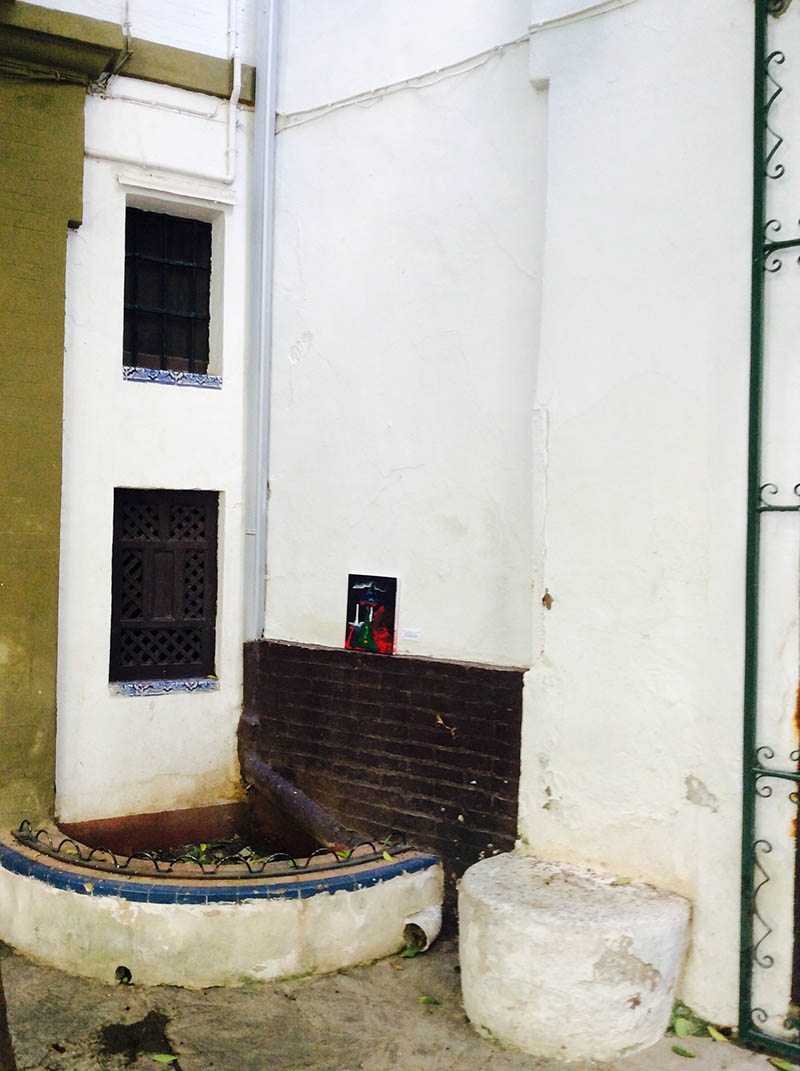 Mushroom 80 - Photo 5