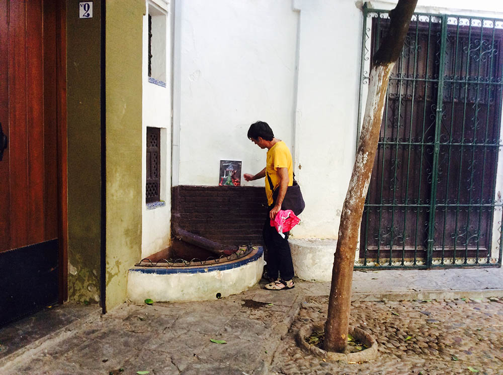 Mushroom 80 - Photo 4