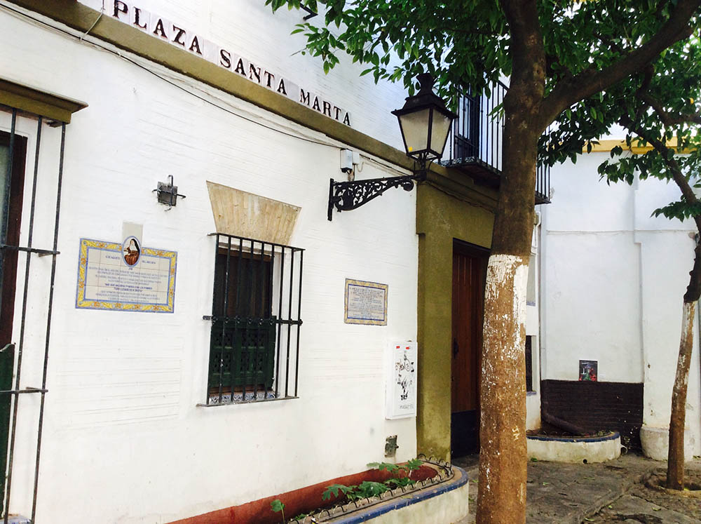 Mushroom 80 - Photo 3