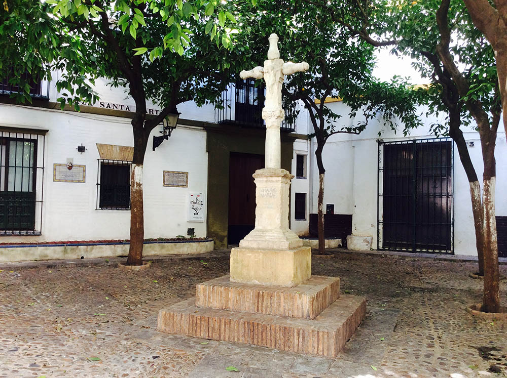 Mushroom 80 - Photo 2