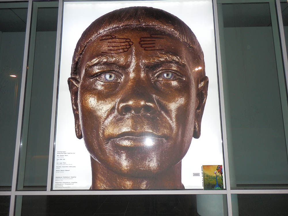 Mushroom 79 - Photo 4