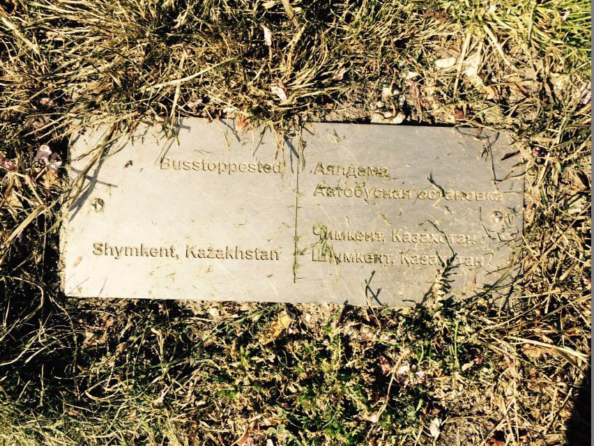 Mushroom 84 - Photo 6