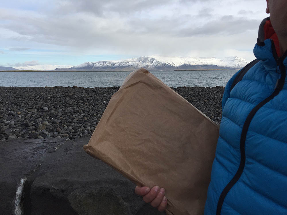 Mushroom 85 - Photo 4