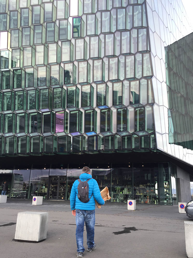 Mushroom 85 - Photo 3